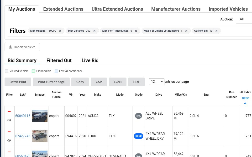 Auction tabs and saved filters above the Bid Summary